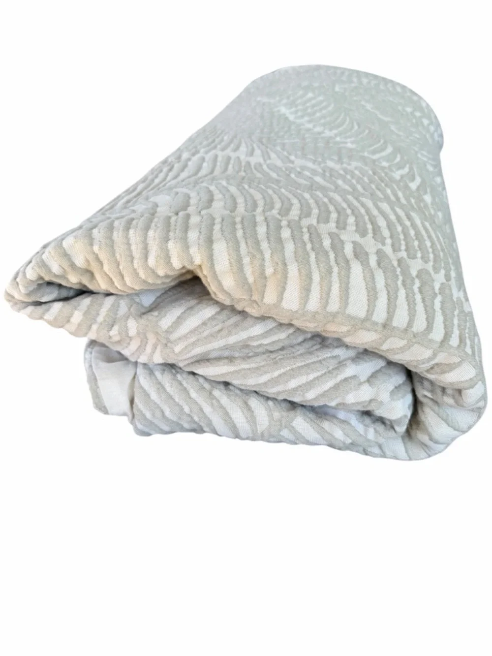 West Elm Trailing Fern Matelasse 2-Piece King Size Duvet Cover Set Celedon GUC